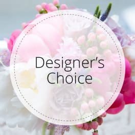 Designer's Choice