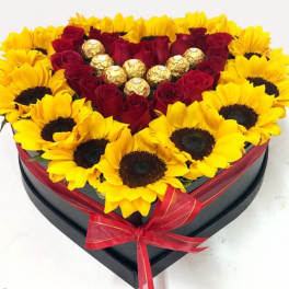 sunflower power