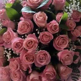 Large bouquet of pink roses with white baby's breath accents in pink wrapping paper