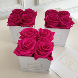 Three white boxes of hot pink roses on a table