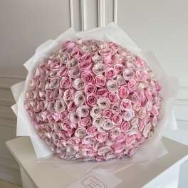 Large bouquet of pink roses wrapped in white paper