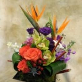 Tropical bouquet with orange bird-of-paradise and purple flowers