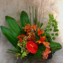 Tropical floral arrangement with orange blooms and a red anthurium in a low container