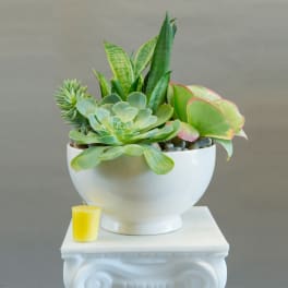 Succulent arrangement in a white bowl with a small yellow candle