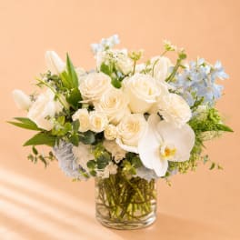 Spring Refresh