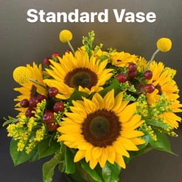 Sunny Sunflowers