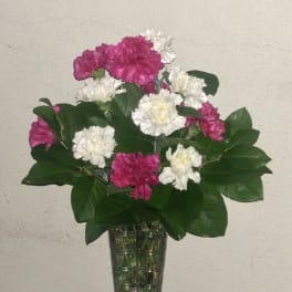 Pink and white carnations in a clear glass vase