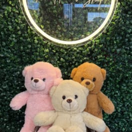 Three plush teddy bears in pink, cream, and brown sit before a green wall sign.