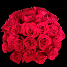 Modern Three Dozen Red Roses