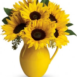 Sunny Day Pitcher of Sunflowers