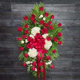 3 Dozen Red Rose Spray
