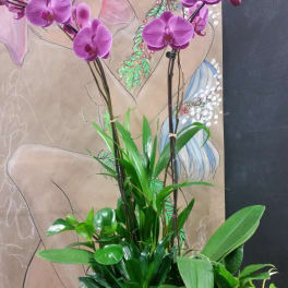 Purple orchids in a rectangular planter with assorted green plants