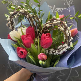 Bouquet of pink and white tulips wrapped in blue paper