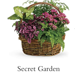 Basket of pink flowering plants and green foliage
