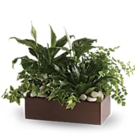 Rectangular planter with white peace lilies and assorted green plants