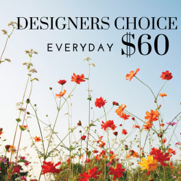 Wildflower field with colorful blooms and text reading Designers Choice Everyday $60