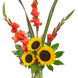 Sunrise Sunflowers