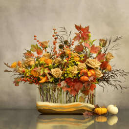 Fall Happiness