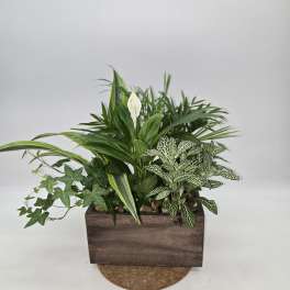 Teleflora's Quiet Expressions