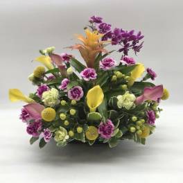 Island Bloom