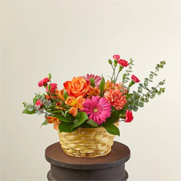 Sweet Treat