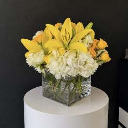Yellow lilies and white hydrangeas in a clear square vase