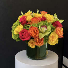 Bright Abundance - LFD
