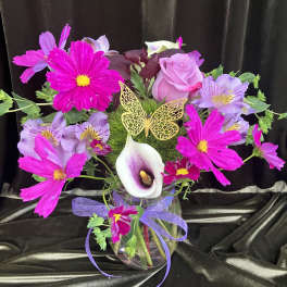 Purple Surprise