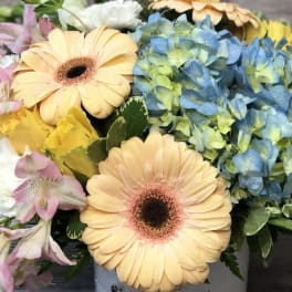 Bouquet with peach gerbera daisies, blue hydrangeas, and pink alstroemeria