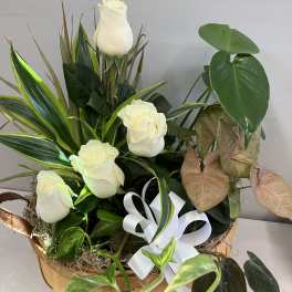 White roses arranged in a basket with assorted tropical foliage and a white ribbon