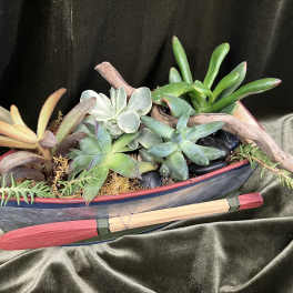 Succulent Planter