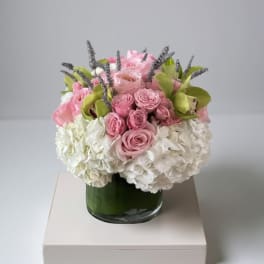 Blush Elegance