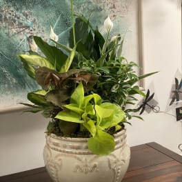 Potted arrangement of green foliage with white peace lilies in a ceramic planter