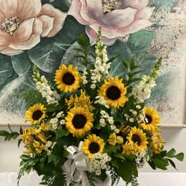 Sunflower arrangement with white filler flowers in a white vase