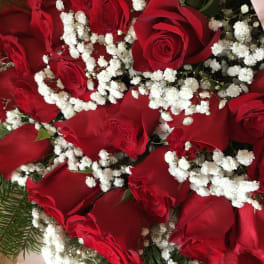 Scarlet Ramo