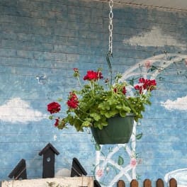 hanging baskets