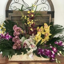 Large tropical orchid arrangement in a rectangular container