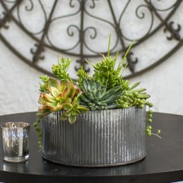 Succulent arrangement in a ribbed metal container beside a small candle holder