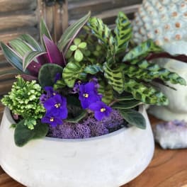 Mixed potted plant arrangement with purple flowers in a white bowl planter