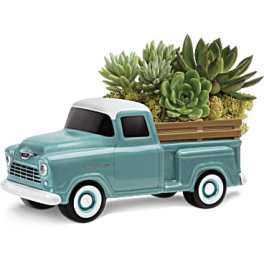 Succulent arrangement in a turquoise pickup truck planter