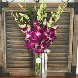 Purple and white orchids in a tall glass vase with a ribbon