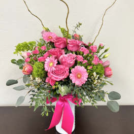 Designers Choice Special