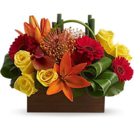 Low rectangular arrangement with yellow roses, red gerberas, orange lilies, and pincushion protea in a wooden box