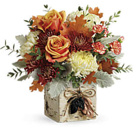 Fall In Bloom