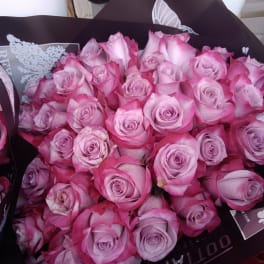 Bouquet of pink roses wrapped in dark paper
