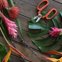Designer's Choice Tropical Arrangement