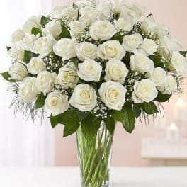 Ultimate Charm 4 Dozen White