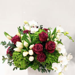 Garden of Blooms