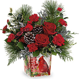 Red roses and carnations in a holiday vase with pinecones and evergreen accents