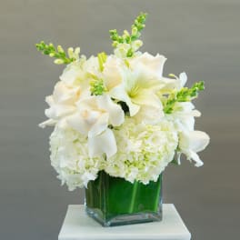 White floral arrangement in a square glass vase